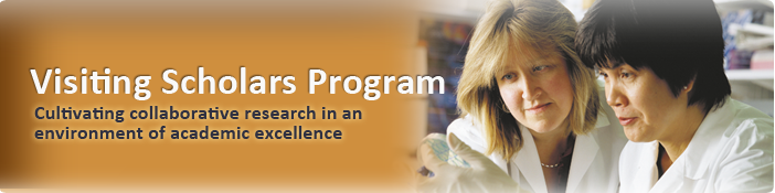 Visiting Scholars Program (VSP)