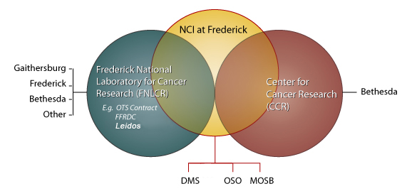This diagram shows how NCI organizations and the Frederick National Laboratory interact on the Frederick Campus.