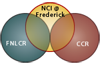 Organizational diagram