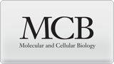 Molecular and Cellular Biology graphic