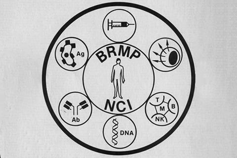 Image of the BRMP logo, a human silhouette surrounded by circles containing immune system components