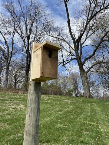 a birdhouse on a pole in a wooded area