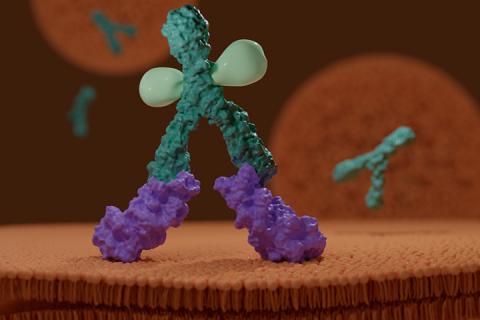 Artist's depiction of the antibody-drug conjugate bound to GPC2