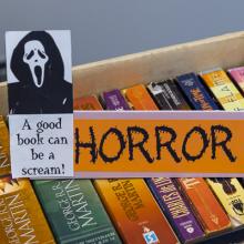 A row of books with a "horror" tag