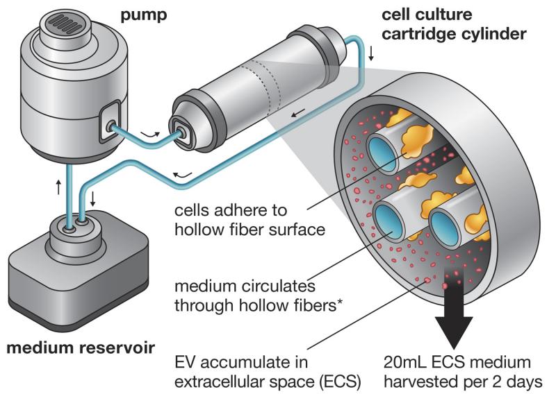 Diagram of the hollow-fiber bioreactor used for EV production. Artwork by Joseph Meyer, Scientific Publications, Graphics & Media. Shared under the <a href="https://creativecommons.org/licenses/by-nc-nd/4.0/legalcode" target="_blank"><em>Creative Commons License</em></a>. 
