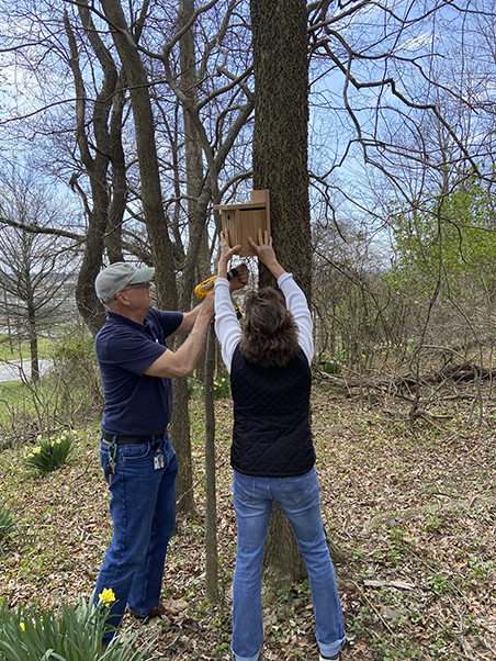 Paul Marshall and Jen Mariano secure a birdhouse to a tree on the NCI Frederick campus. One of the six designated “nuthatch houses,” it can be a home for many types of smaller birds. (Photo by Kylee Stenersen)