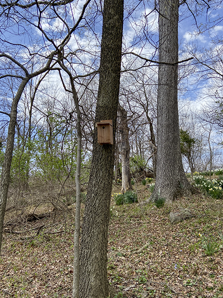 The nuthatch house is one of three birdhouses currently installed. (Photo by Kylee Stenersen)