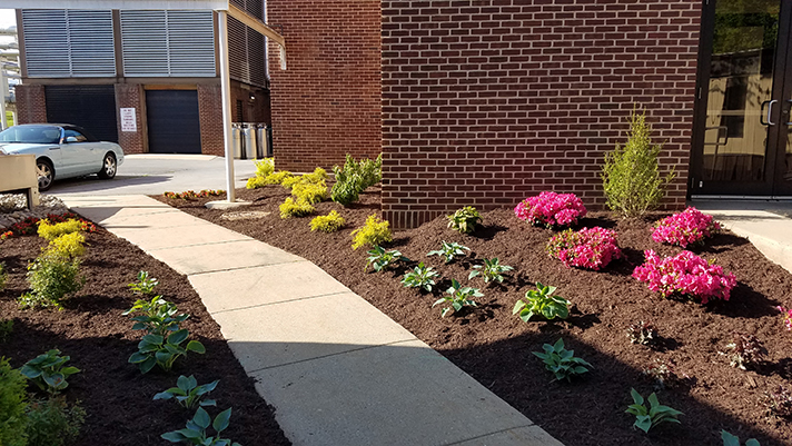 The flowerbed at 376 wraps around the building.
