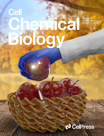 Meyer’s cover design for Cell Chemical Biology’s October 2020 issue, featuring the DNA-weave basket, which he worked on with Jay Schneekloth, Ph.D., a senior investigator in the Chemical Biology Laboratory at NCI at Frederick’s Center for Cancer Research (CCR), and Christopher Jones, Ph.D., a postdoctoral fellow in the Laboratory of RNA Biophysics and Cellular Physiology at the National Heart, Blood, and Lung Institute.