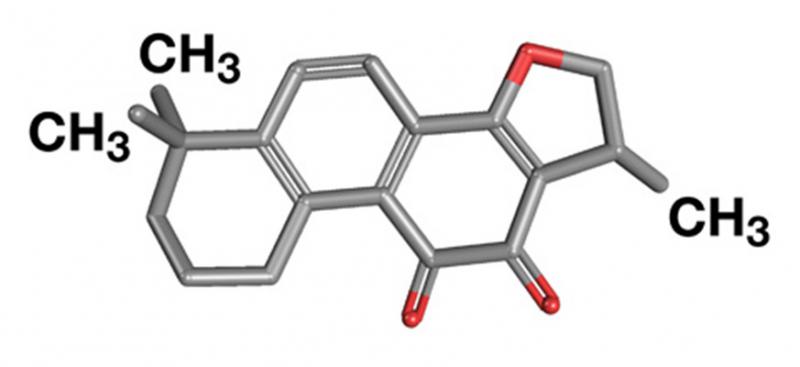 The chemical structure of cryptotanshinone, isolated from an herbal extract, has been shown to interfere with cancer cell growth in colon cancer cells. The red atoms indicate oxygen.
