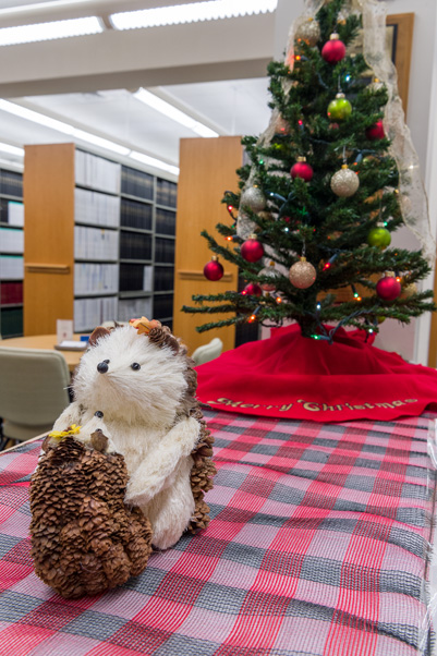 Winter woodland creatures were scattered throughout the Scientific Library’s decorations. (Photo by Samuel Lopez)