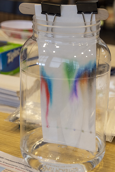 A liquid chromatography experiment using colored markers makes ink blots run upward and demonstrates that each blot is composed of more than one color.