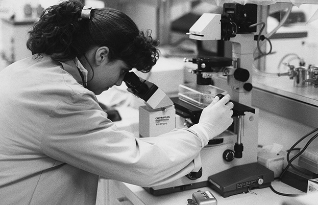 An FCRC scientist gazes through a microscope. (SPGM archive)