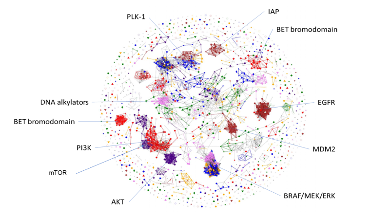 This is a COMPARE correlation map of the library of 1,003 FDA-approved and investigational agents processed through the classic NCI-60 and the updated NCI-60 HTS384 screens to see how well their results matched up. For many, the data from the classic NCI-60 screen and the modernized NCI-60 HTS384 overlap to form single clusters, grouped according to the cancer markers recognized by the agents, on the map, indicating that both screens yielded similar results. (Image provided by Mark Kunkel) 