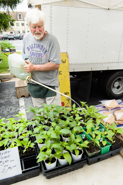 Rudy Medicus waters some of the plants for sale at his booth.