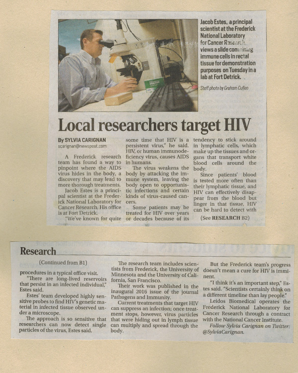 A scrapbook article about HIV research at NCI at Frederick