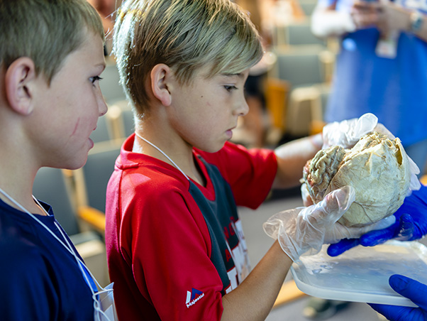 The National Museum of Health and Medicine’s “Unlocking the Mysteries of the Brain” program gave attendees the chance to hold a real human brain.
