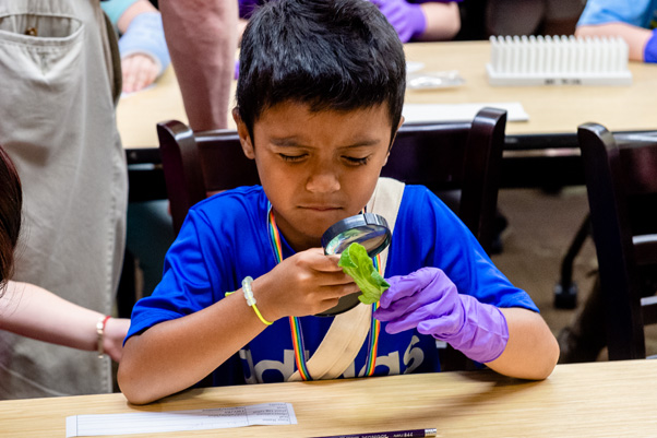 Children who joined in the “Plant Doctors” program became impromptu scientists, testing plants for infections. For some, the activity was intense…