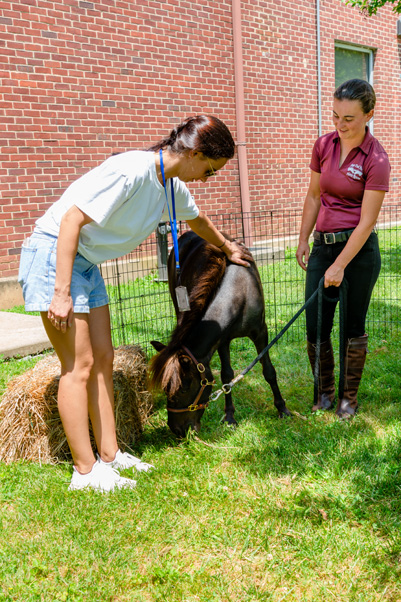 Parents and children who sought a more relaxing interlude could visit the miniature horse from Days End Horse Farm Rescue…