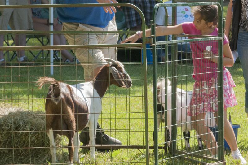 Kids enjoyed petting goats at the 2017 Take Your Child to Work Day event.