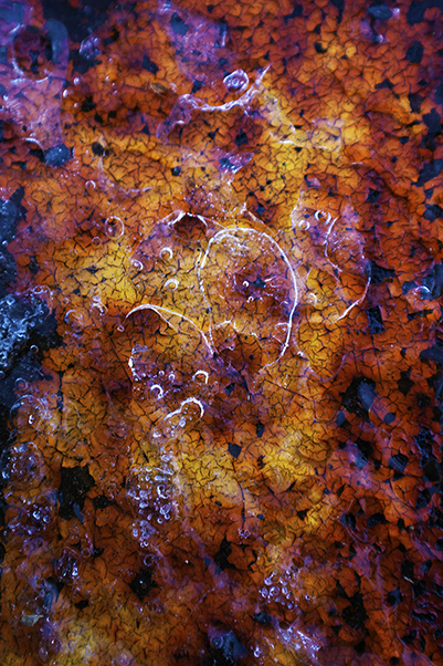 “Fire and Ice,” one of Walker’s photos that was displayed in Loyola’s Julio Fine Arts Gallery. The subject is a rusted, yellow metal pole covered in a sheet of ice with air pockets.