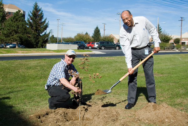 Paul Miller and Tim Rowe plant one of the Wye Oak progeny outside of Building 560 in 2005.