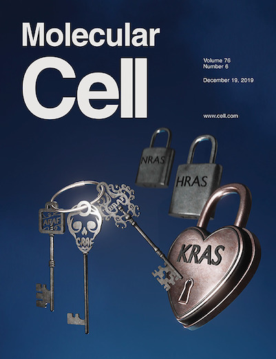 Joe Meyer’s cover design for Molecular Cell’s December 2019 issue, featuring a depiction of a BRAF “key” to KRAS, which he worked on with Debbie Morrison, Ph.D., a senior investigator in the Laboratory of Cell and Developmental Signaling at NCI at Frederick’s Center for Cancer Research.