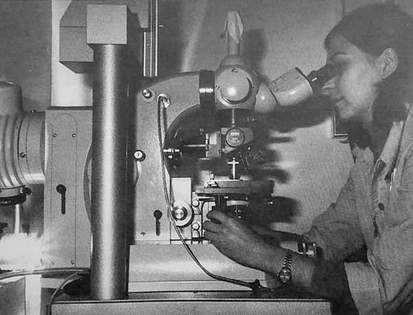 A woman works at a microscope in the Cancer Biology Program, likely in 1980. (1980 annual report)