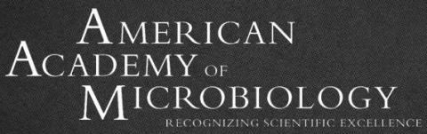 American Academy of Microbiology logo