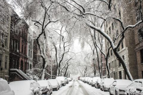 Winter blizzard scene.