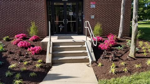 Photo of a flowerbed alongside the entrance to a building