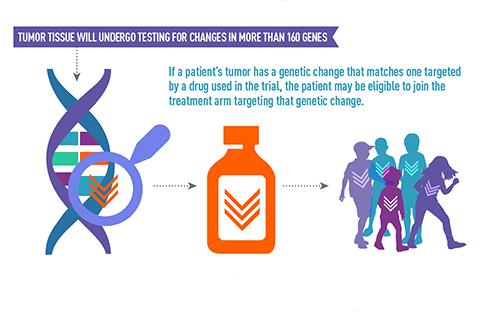 Diagram explaining over 161 tumor genes will be tested for targetable mutations