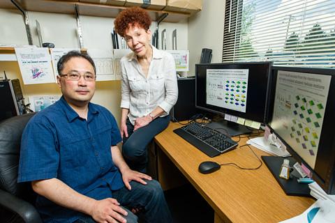 Hyunbum Jang, Ph.D., and Ruth Nussinov, Ph.D.