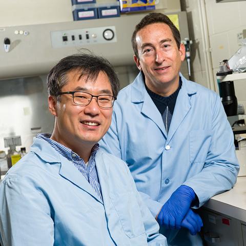 Two scientists in the lab. Doctor Cho is on left and Doctor Daar is on right.