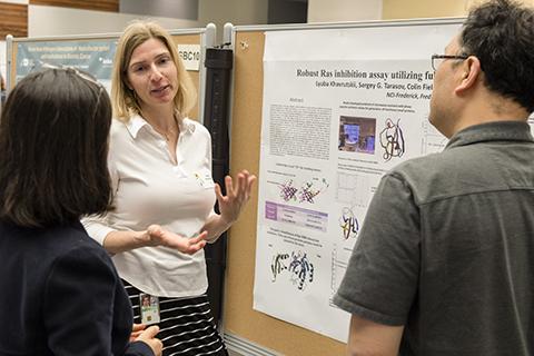 A representative image of the poster session at the Spring Research Festival.