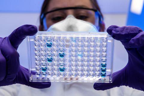 Young scientist looking at well plate.