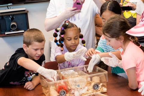 Children playing with mice at Take Your Child to Work Day.