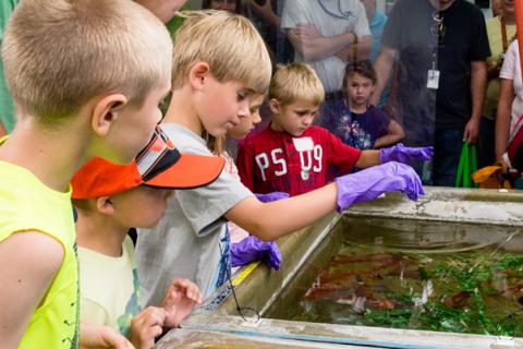 Children learning about fish and frogs. 