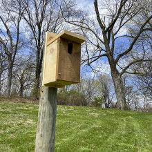 A birdhouse on a wooden post, with trees in the background