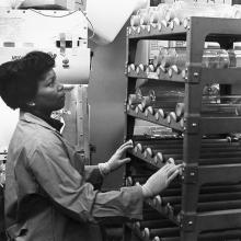 Scientist viewing bottles on a rack
