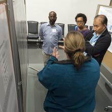 A representative image of the poster session at the Spring Research Festival.