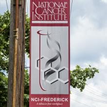 A white-and-red banner hanging on a telephone pole. It says "National Cancer Institute."
