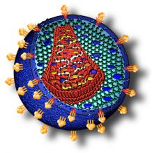 HIV DRP logo