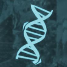 A sketch of a DNA strand on a mottled green background