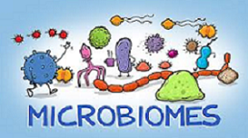 Microbiomes Cartoon Image