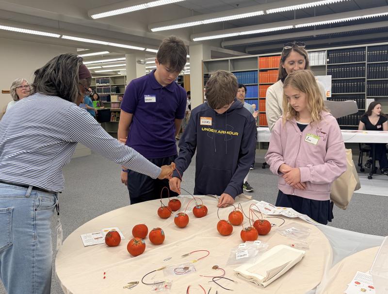 Kids try their hand at making an electrical charge using tomatoes. Image credit: Karolina Wilk
