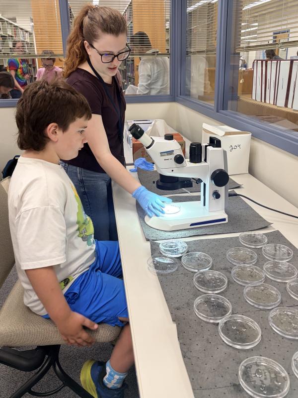 A child waits patiently as a petri dish and microscope are adjusted for viewing planarian flatworms to show regeneration. Image credit: Karolina Wilk