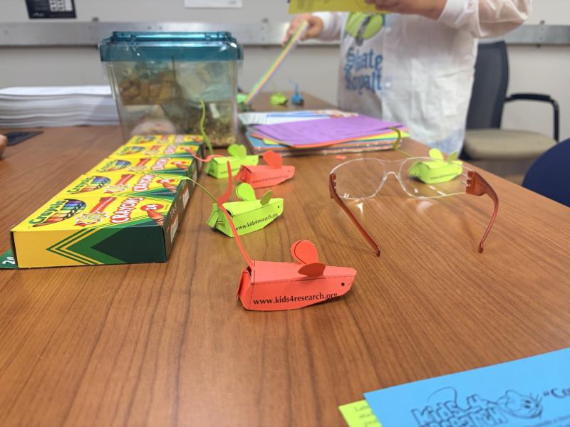 A mouse-themed craft is available at the LASP activity. Image credit: Karolina Wilk