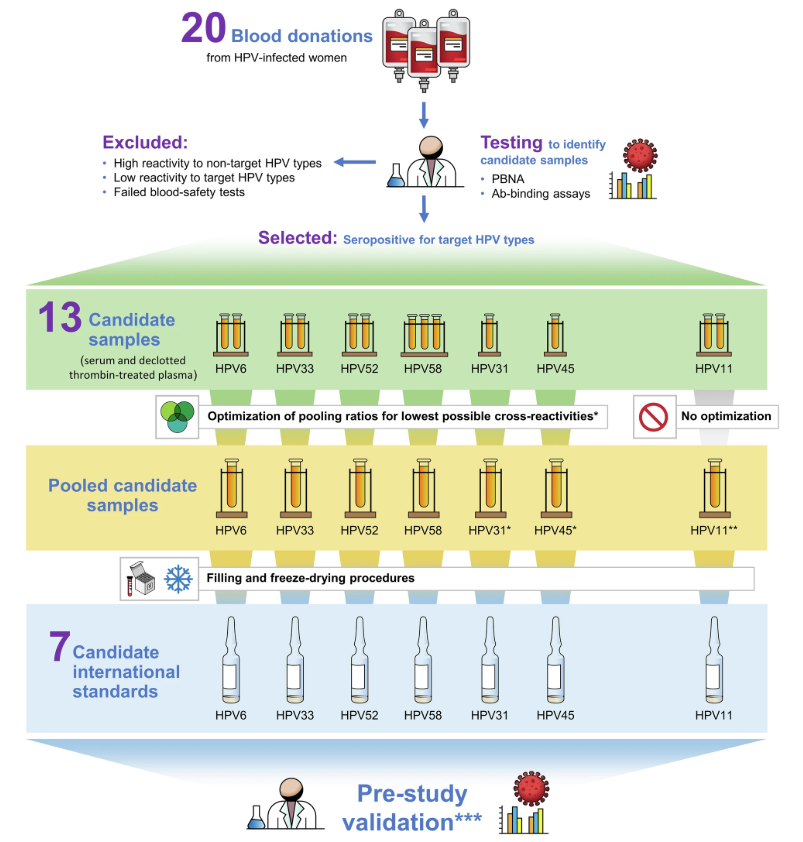 Workflow for the HPV International Standards project.