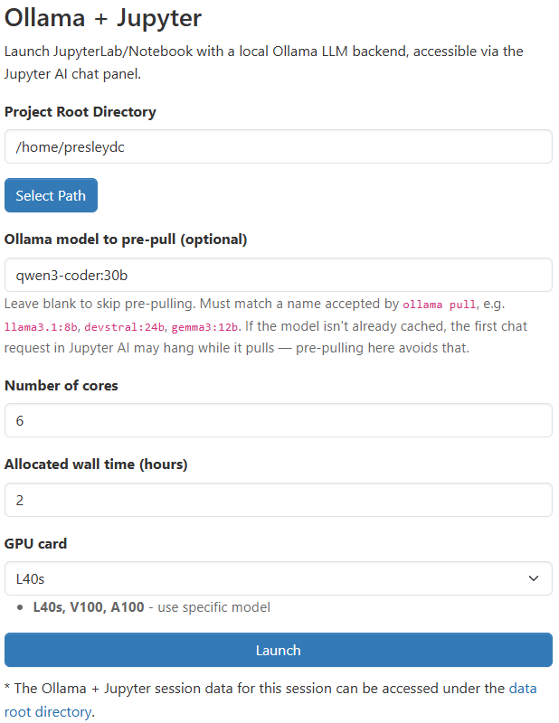 Ollama + Jupyter OnDemand Options